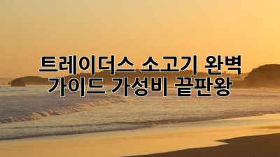 트레이더스 소고기 완벽 가이드: 가성비 끝판왕!