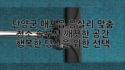 단양군 매포읍 응실리 맞춤 청소 솔루션: 깨끗한 공간, 행복한 당신을 위한 선택